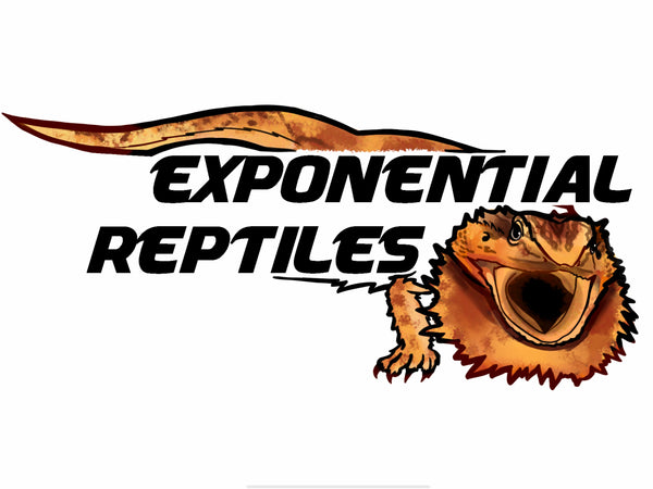 Exponential Reptiles